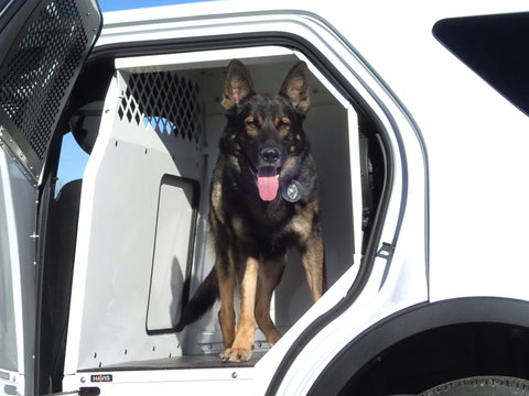 Havis K9-F18-PT 2013-2019 Ford Police Interceptor Utility K9 Prisoner Transport System - Synergy Mounting Systems