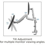 Lorell LLR99803 Dual Mounting Arm for Two Monitors - Gray