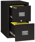 FireKing Patriot Series - 1-Hour Fire Rated Vertical File Cabinet - 2 or 4 Drawers - 2 Colors